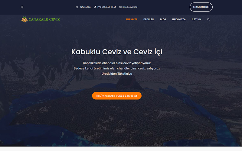 ceviz
