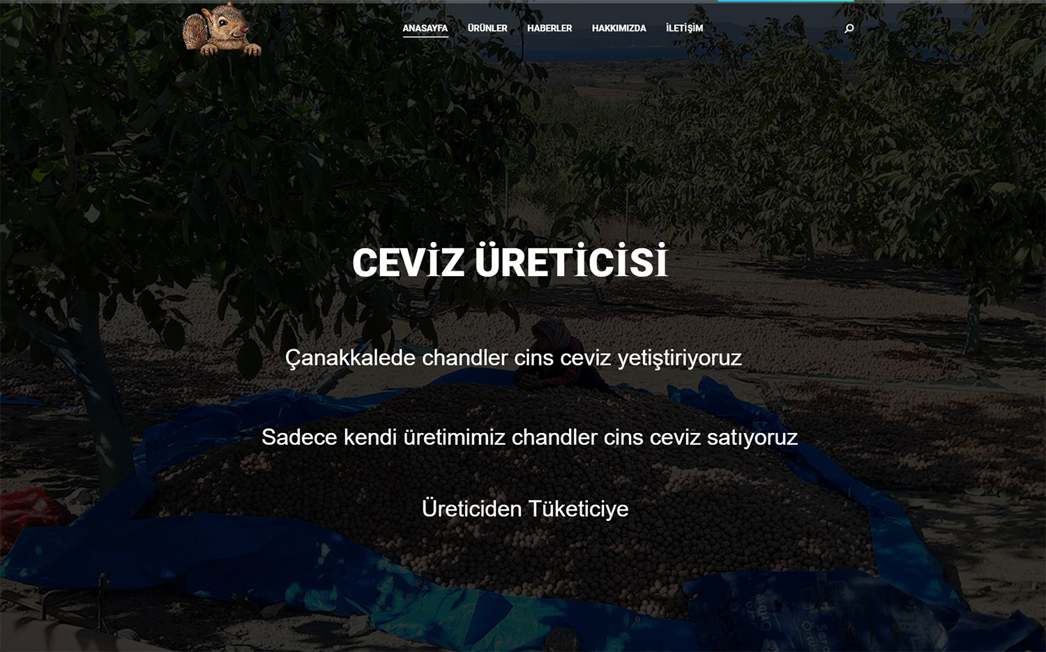 ceviz