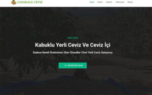 www.yerliceviz.com.tr